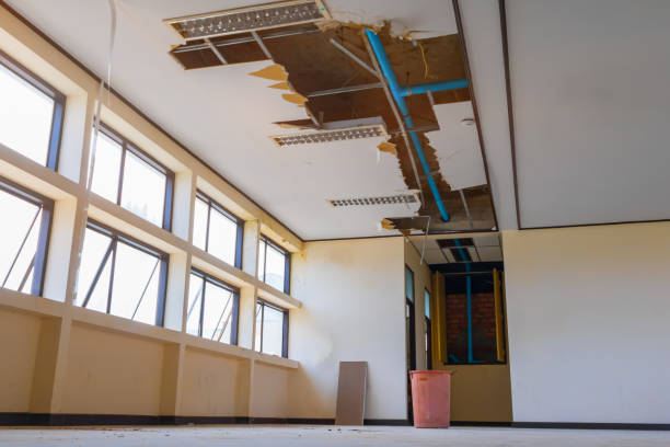 Best Flood damage cleanup  in Watergate, FL