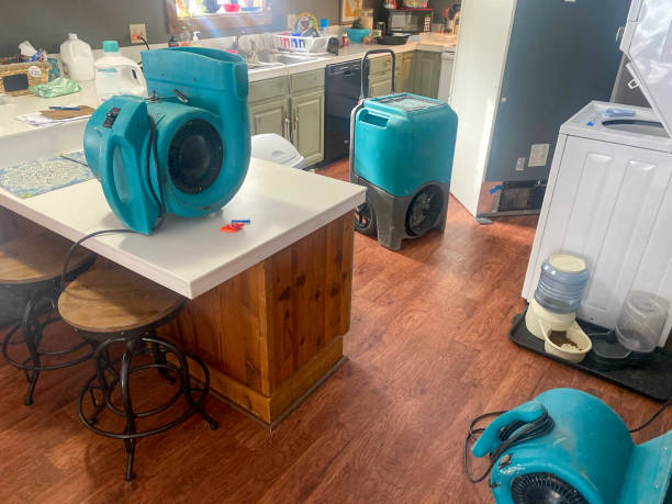 Best 24-hour water damage restoration  in Watergate, FL