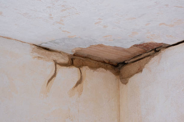 Best Water damage restoration company  in Watergate, FL