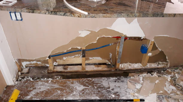 Best Ceiling water damage repair  in Watergate, FL