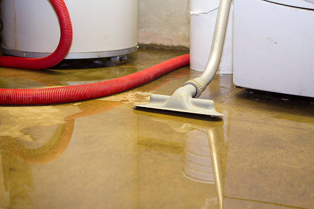 Best Fire Damage Restoration  in Watergate, FL