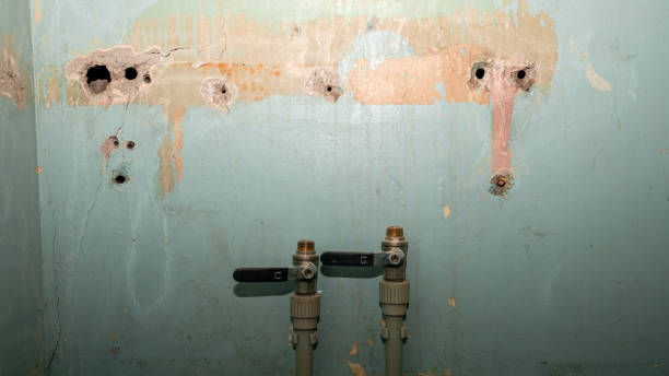 Best Water damage contractors near me  in Watergate, FL