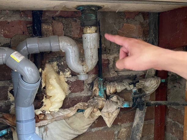 Best Water damage cleanup near me  in Watergate, FL