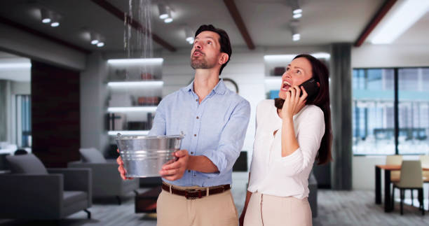 Best Flood restoration services  in Watergate, FL