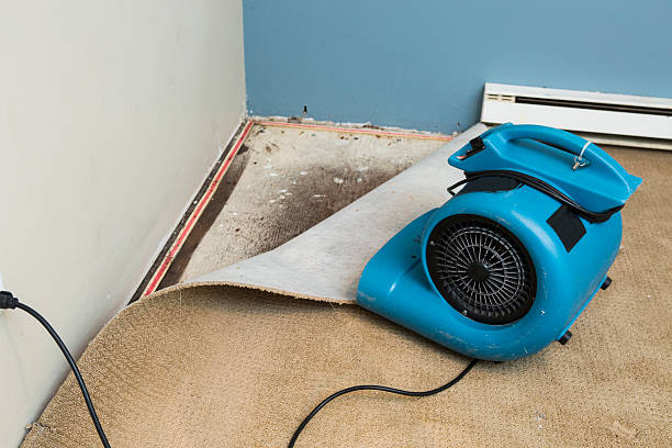 Best Water damage restoration near me  in Watergate, FL